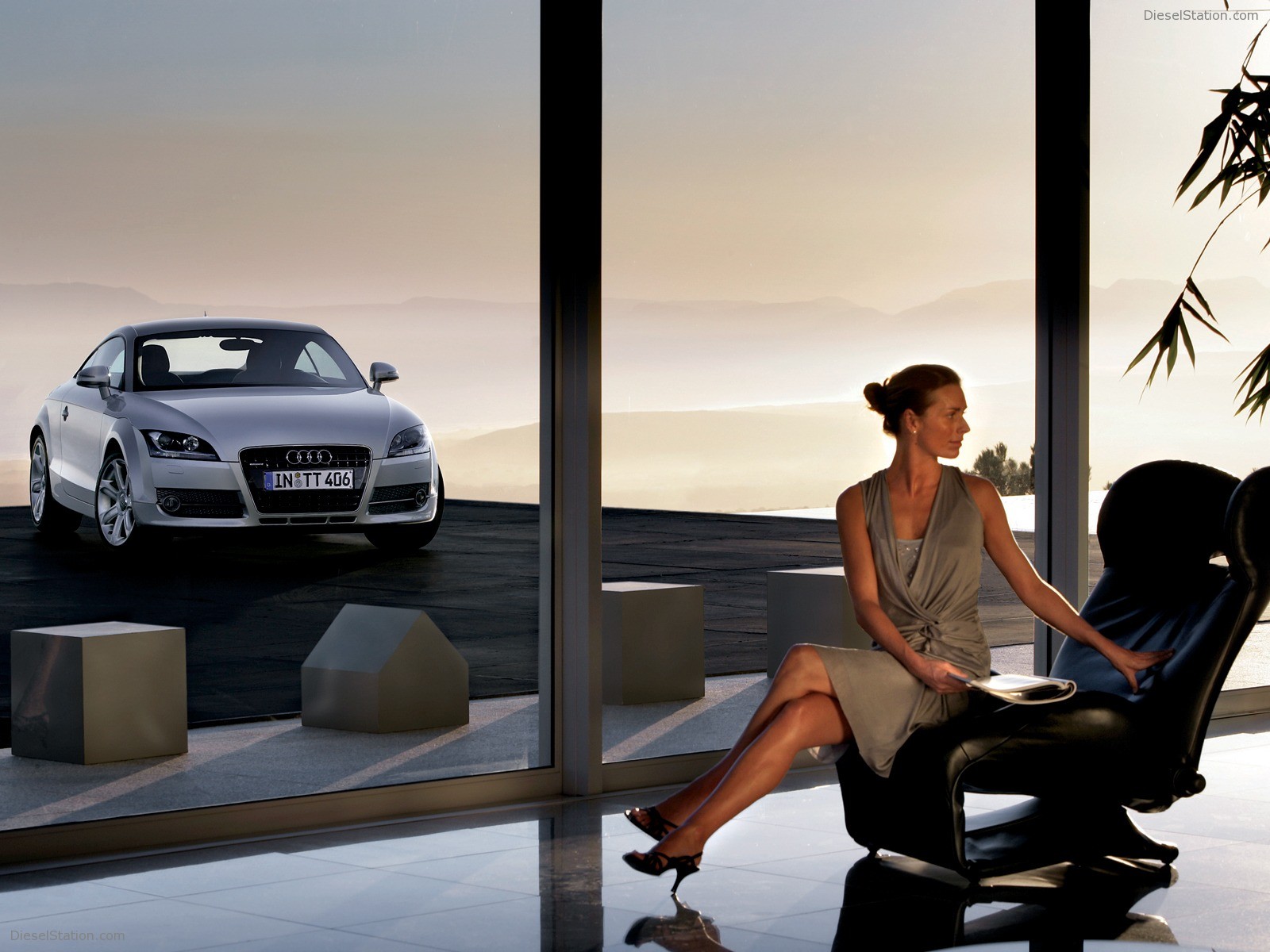 Audi TT Coupe (2006)
